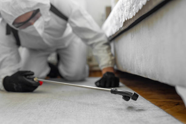 Professional Termite Control technician working in Newton, MS