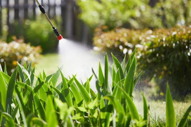 24/7 Emergency Termite Control experts in Newton, MS