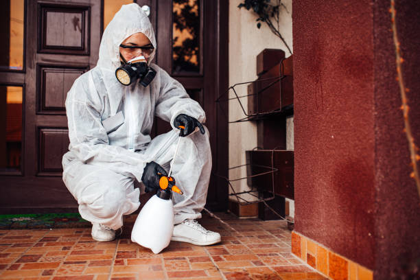 Reliable Termite Control contractor in Newton, MS by Nex Pest Control